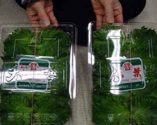 大连蜜桃视频APP下载入口