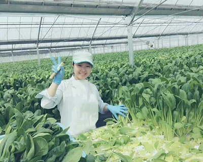 大连蜜桃视频APP下载入口