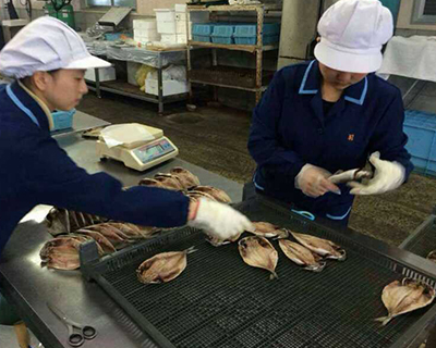大连出国劳务公司
