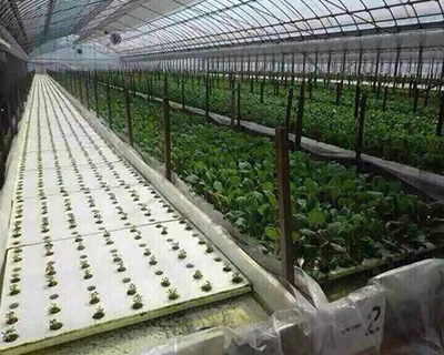 大连蜜桃视频APP下载入口费用