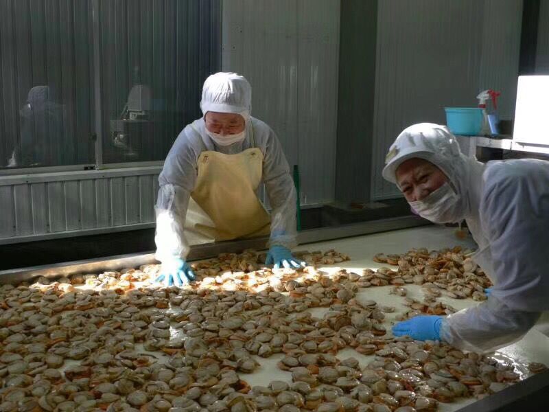大连蜜桃视频APP下载入口