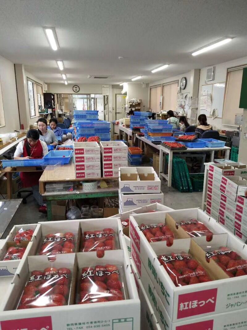 大连蜜桃视频APP下载入口