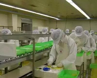 大连蜜桃视频APP下载入口